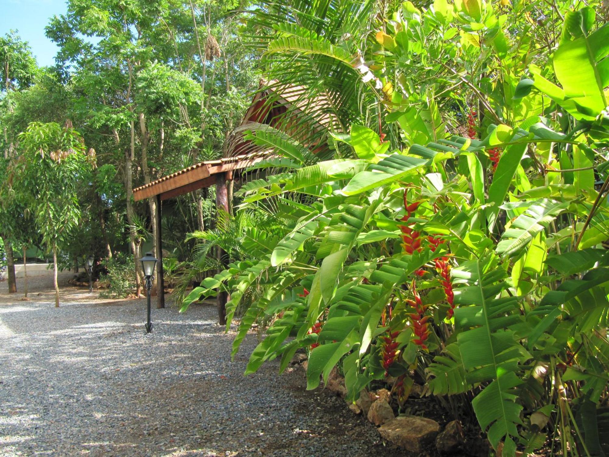 Eco Pousada Villa Verde Бонито Экстерьер фото